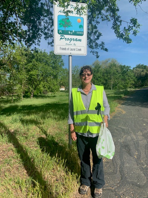 Volunteer, pick up trash, adopt a creek