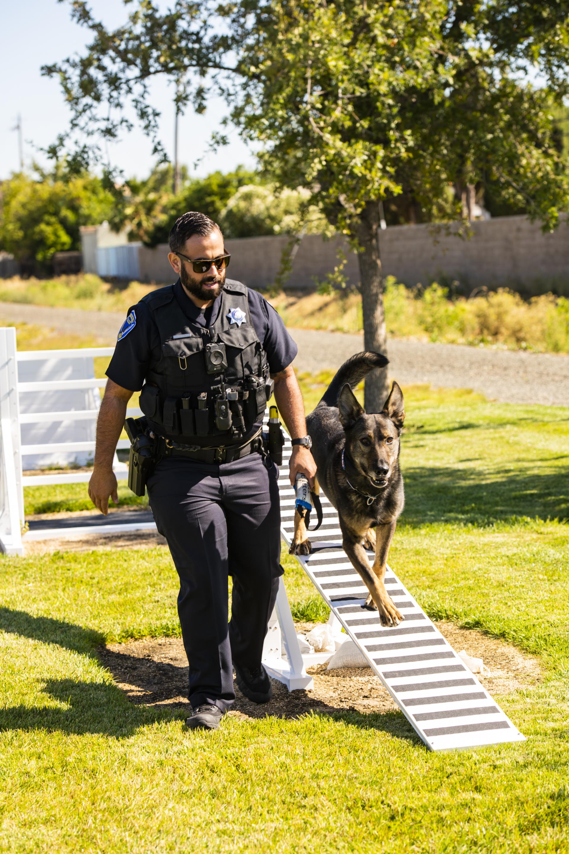 officer and his k9