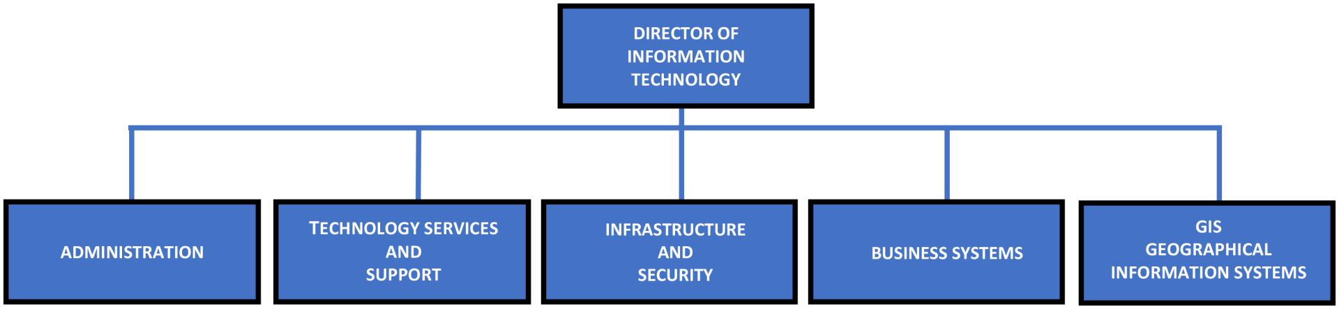 Information Technology Organizational Chart