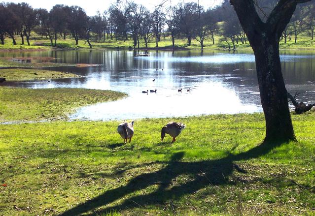 Rockville Hills Regional Park