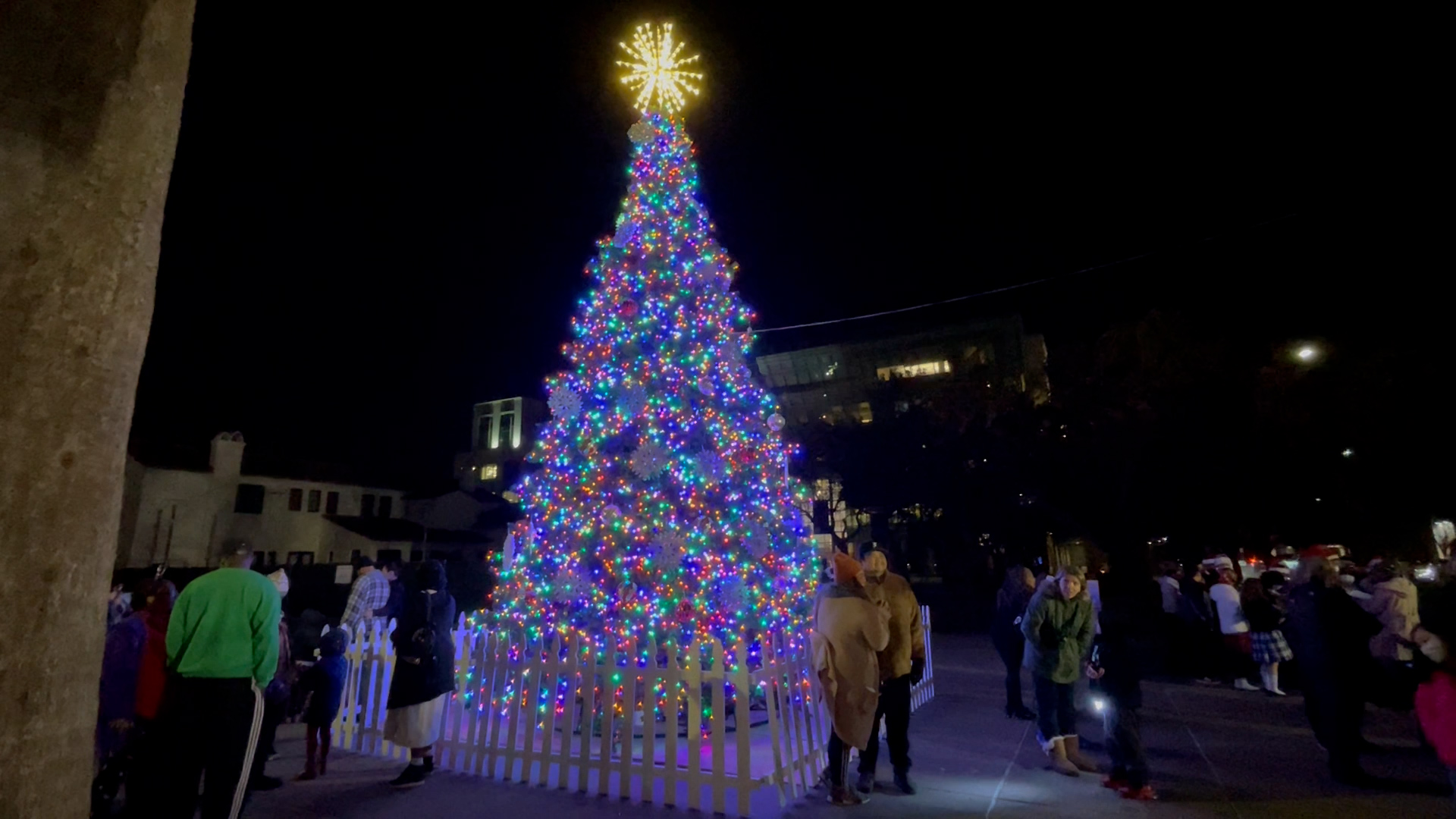 Lit Christmas tree